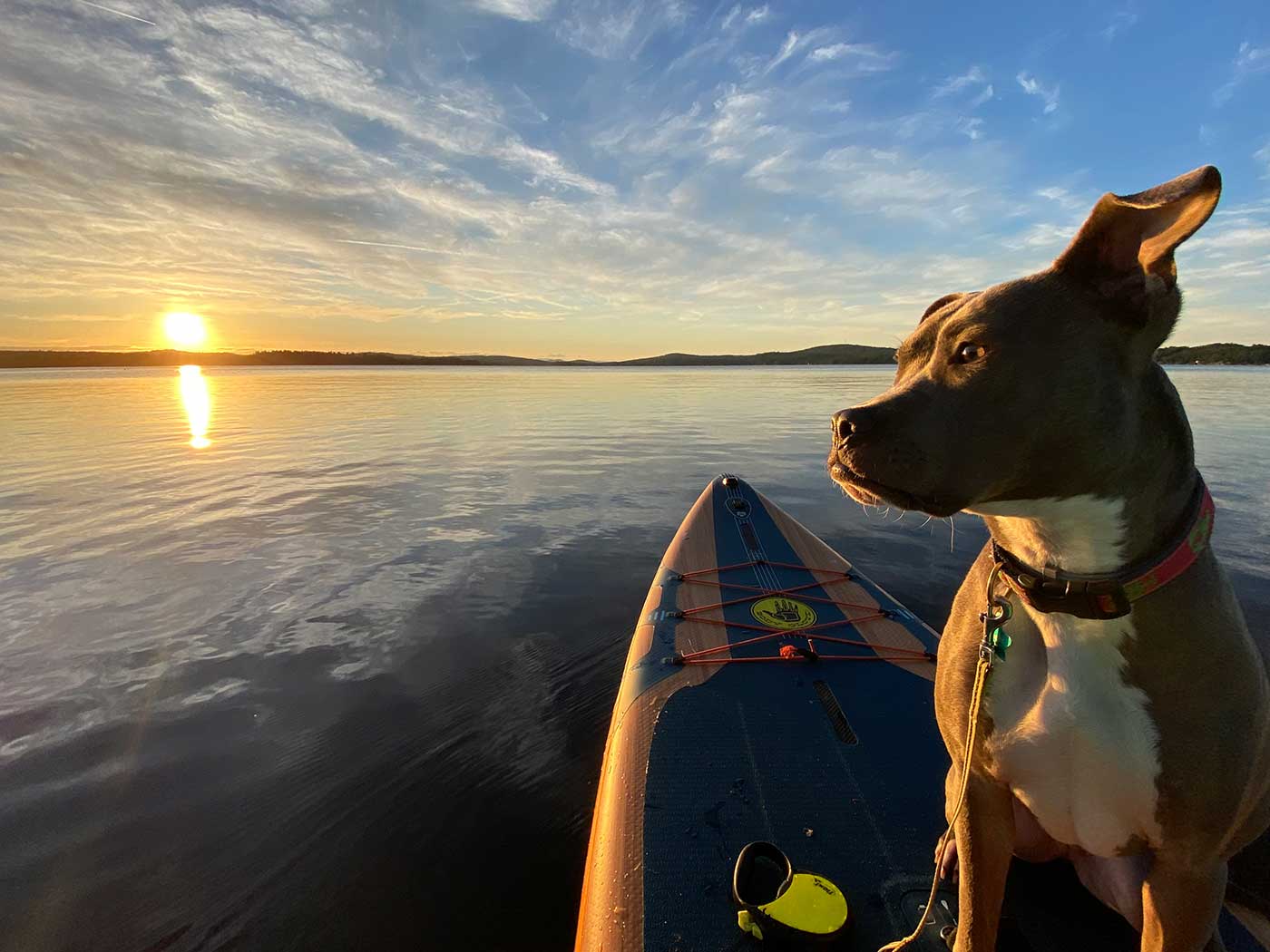 Beginner’s Guide to Paddleboarding in Maine