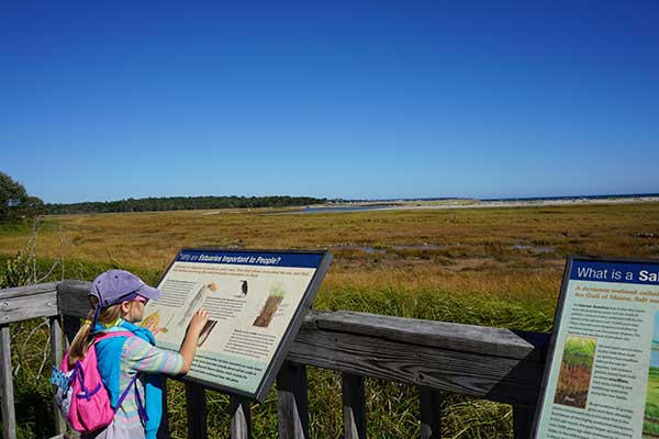 young girl looking at educational piece on trail