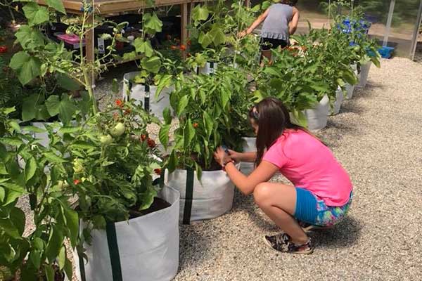 children working in greenhouse garden