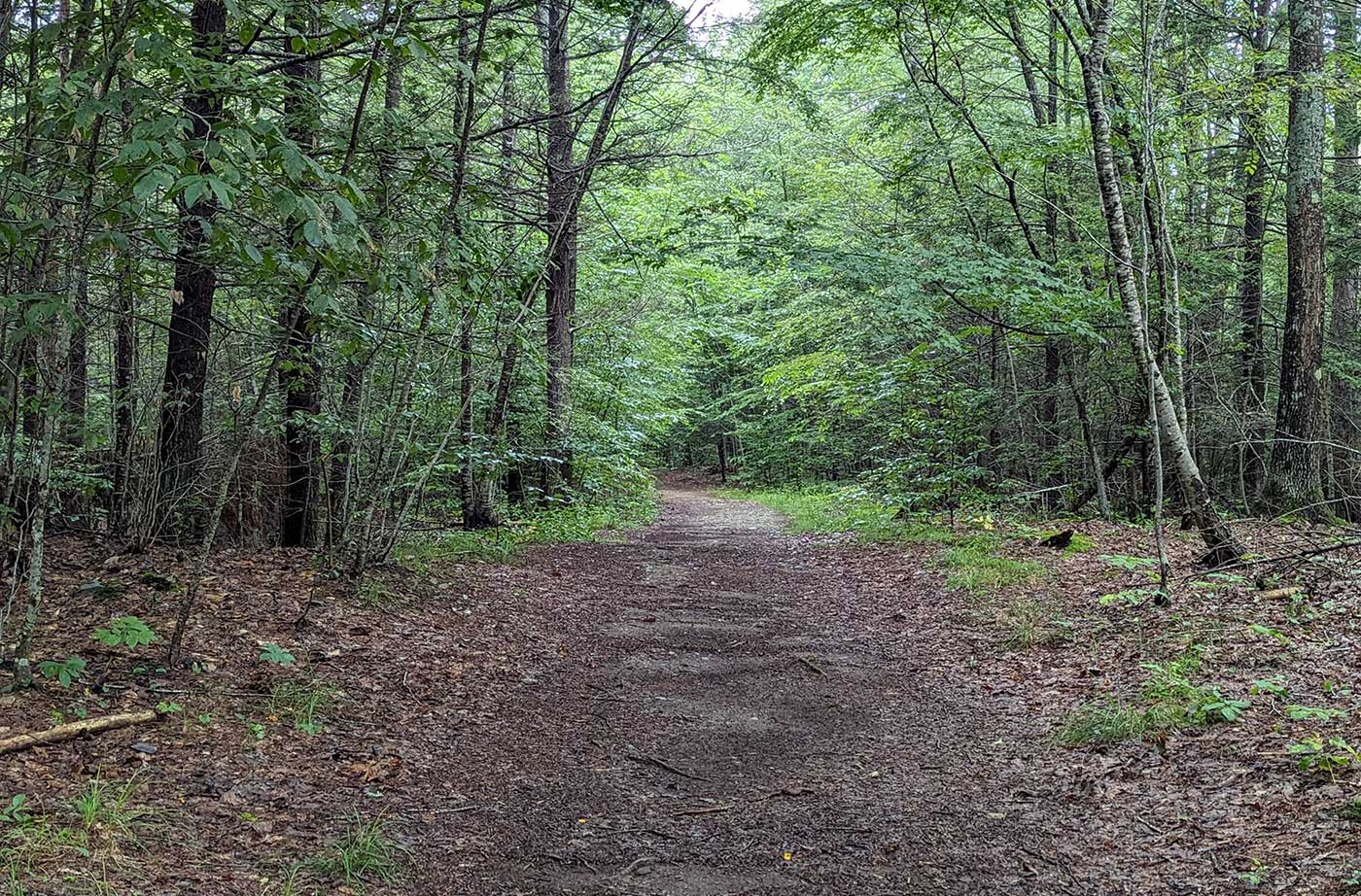 path through woods