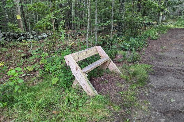 rustic bench in woods along path