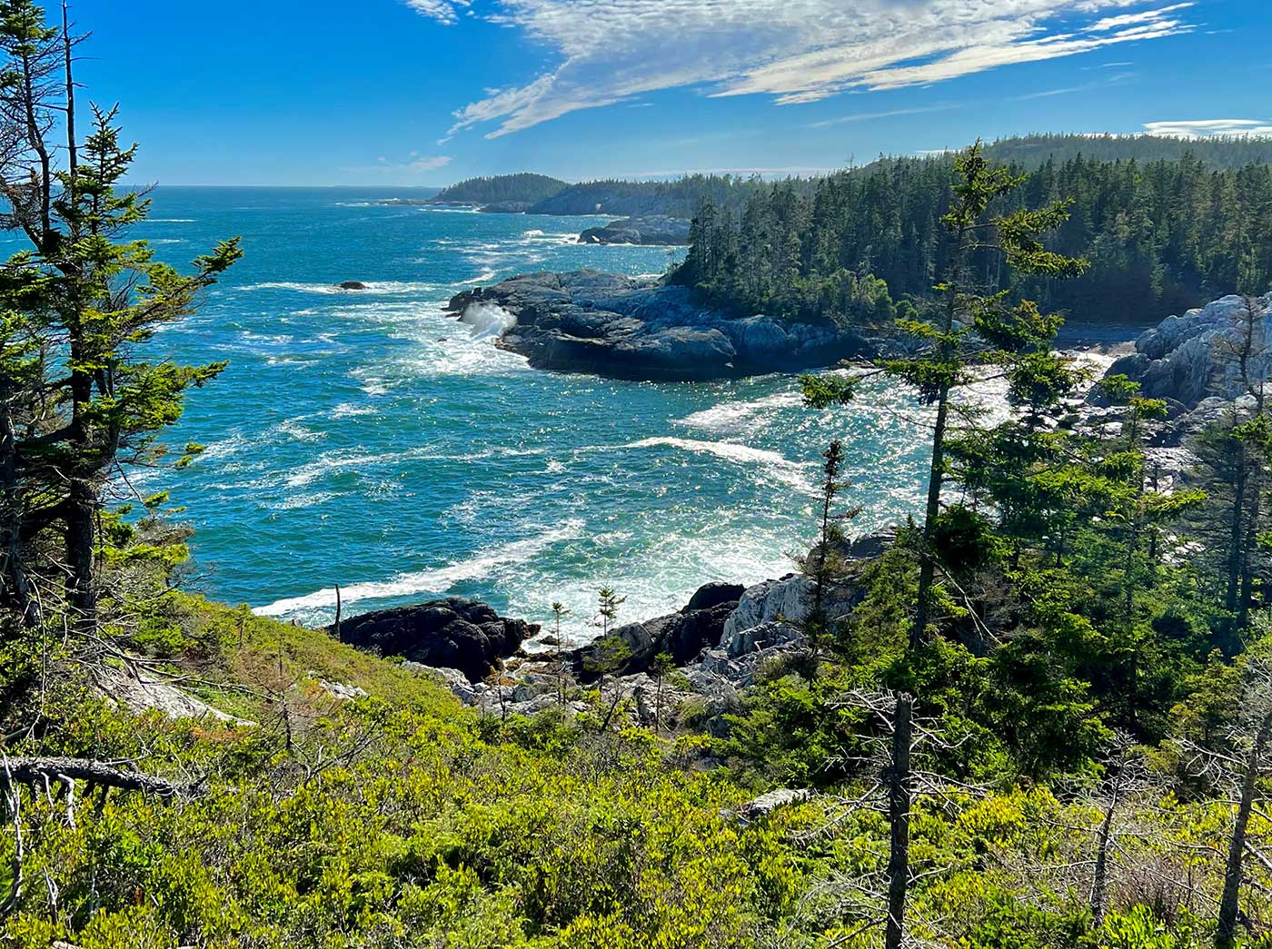 view of ocean from top of trail