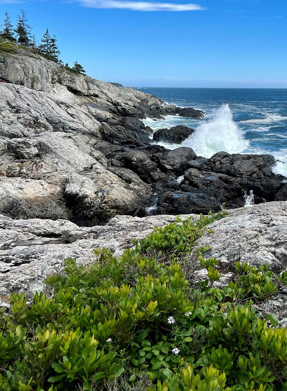 ocean waves crashing on rocks