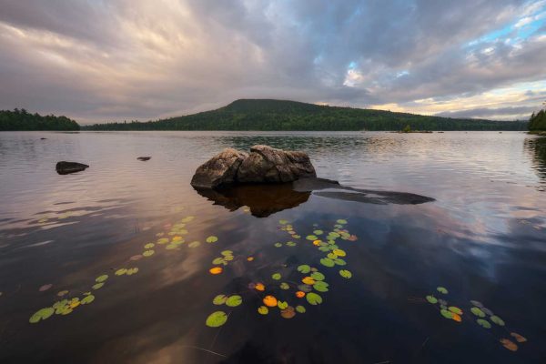 Lily pads and morning clouds over Wadleigh Pond