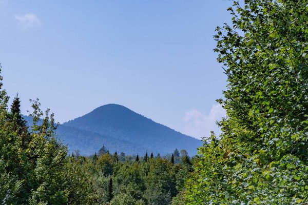 a view of a mountain silhouette through trees