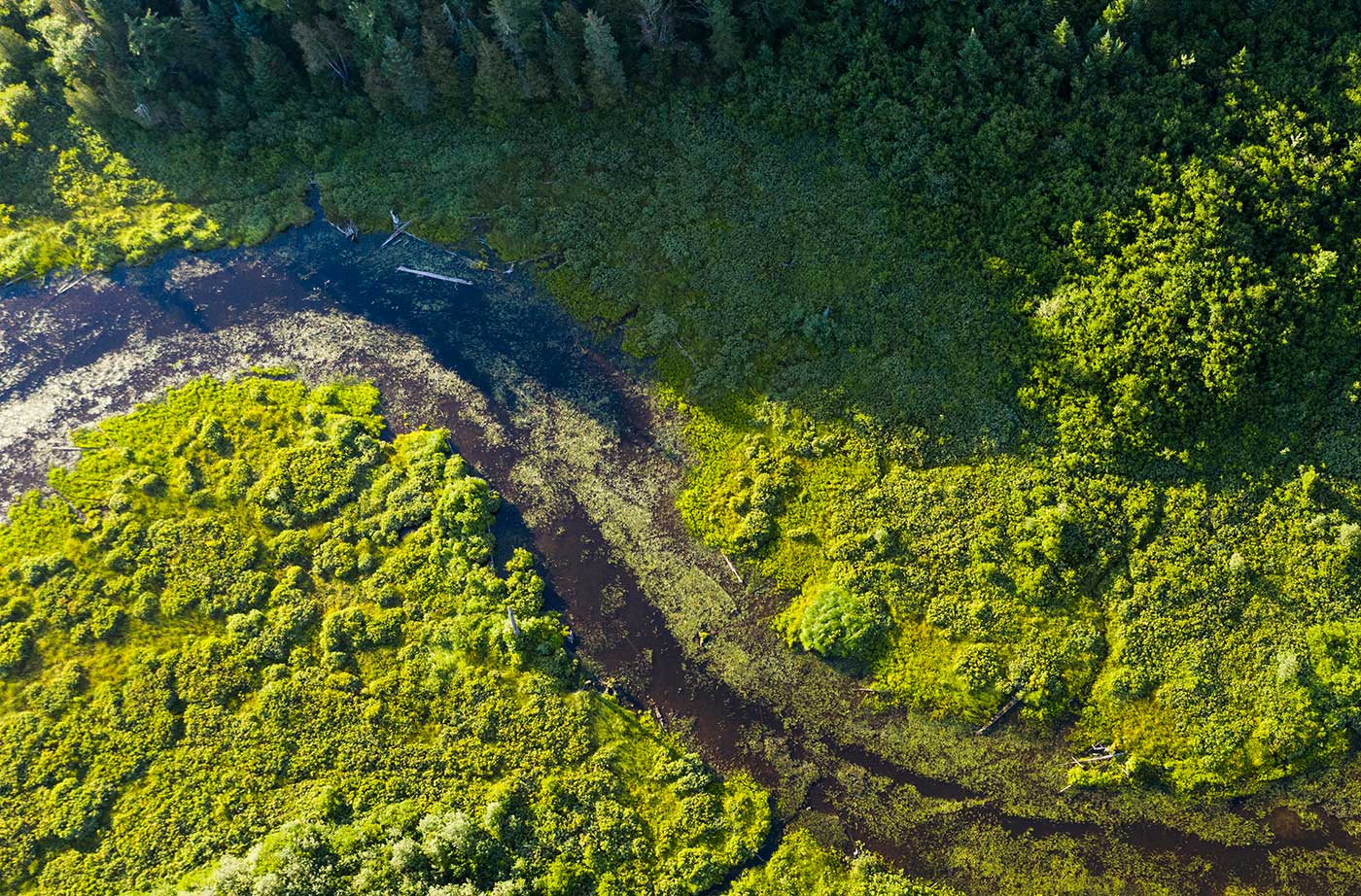 aerial view of Pleasant Lake inlet surrounded by trees