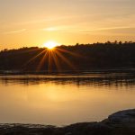 sunset over trees and water