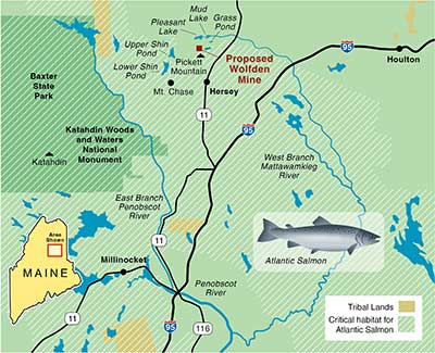 map of Pickett Mountain region