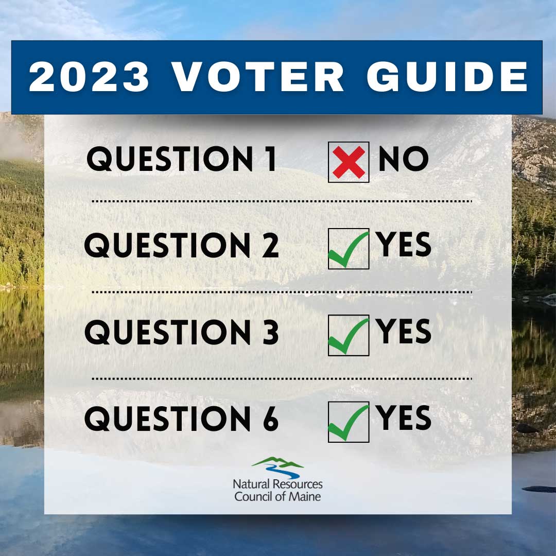 Voting guide graphic