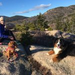 two dogs and person atop a mountain on Maine coast