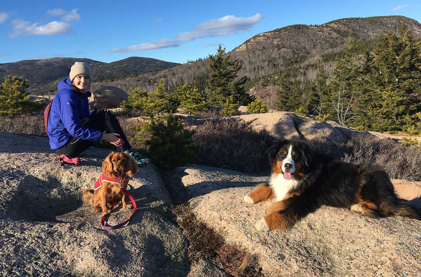 two dogs and person atop a mountain on Maine coast