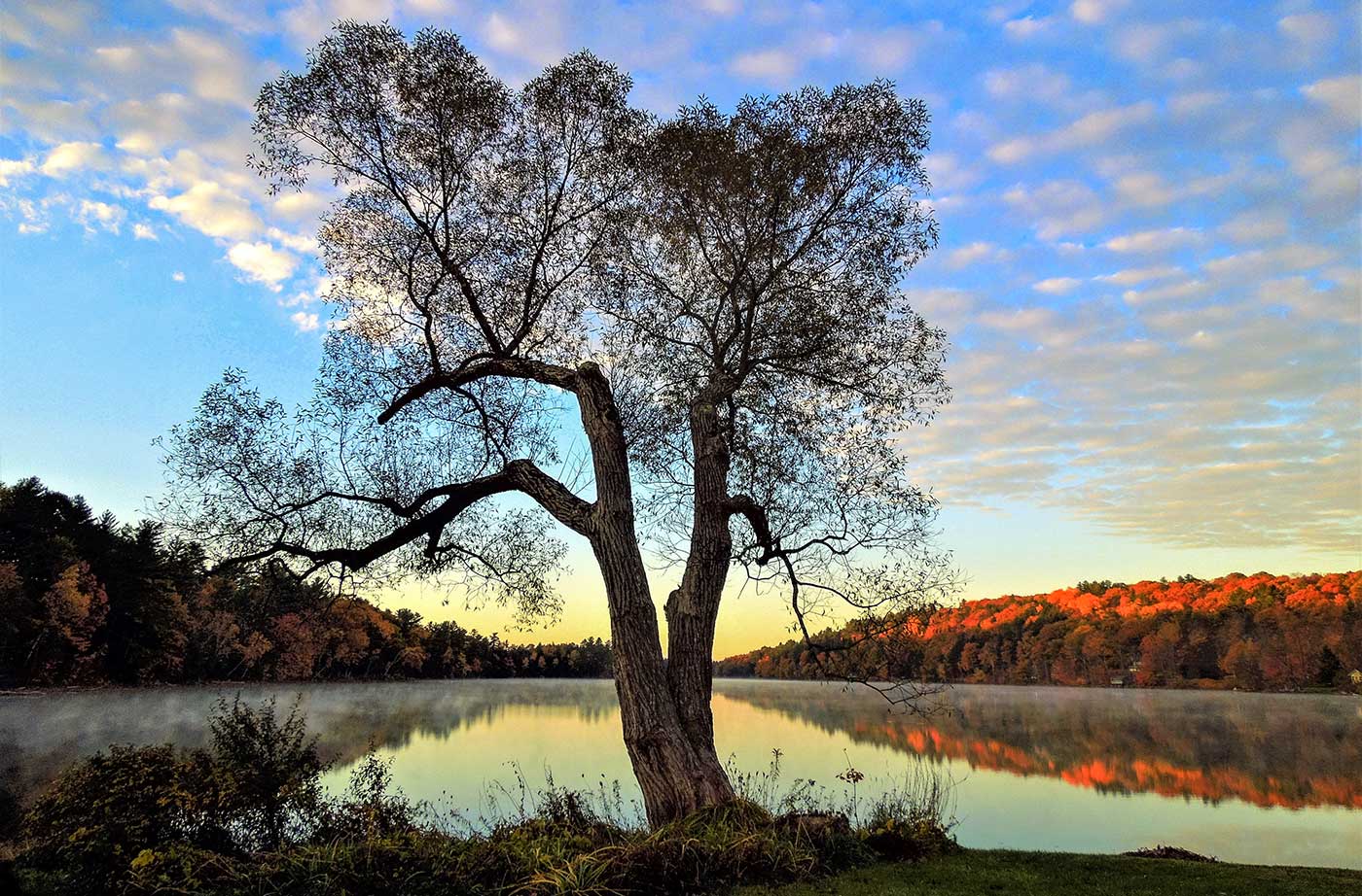 tree in front of lake with fall colors all around