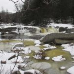 Stream flowing through trees with snow in stream