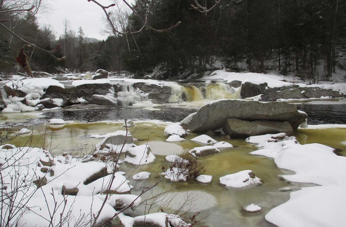 Stream flowing through trees with snow in stream