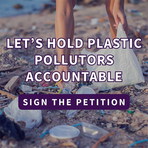plastic pollution petition graphic