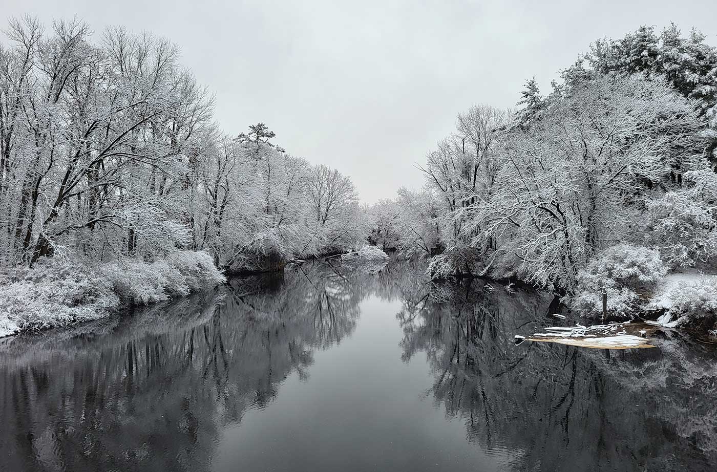 River with snow-covered trees lining it on either side