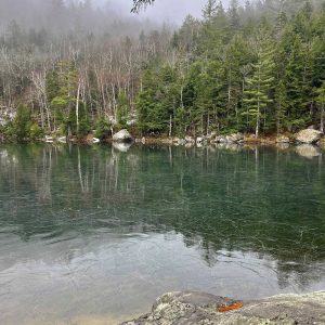 Little Concord Pond on the way up Bald Mountain with a skim of ice.