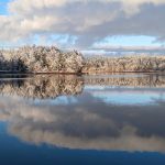 Snow-covered trees along a river