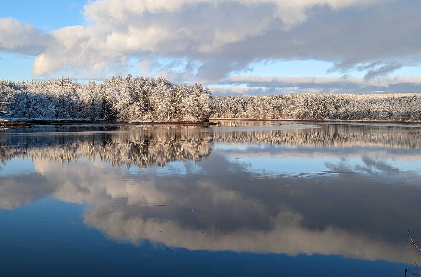 Snow-covered trees along a river