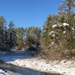 Calm stream of water surrounded by snowy banks and a bright blue sky