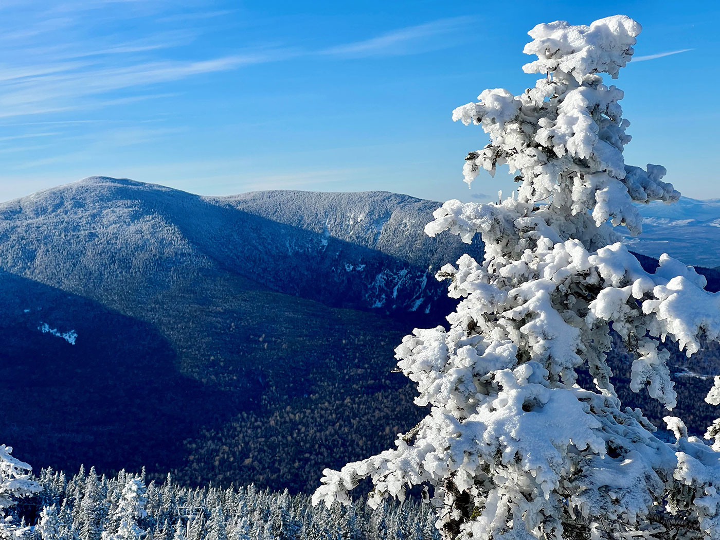 view of mountains from top of another mountain, with snow-covered evergreen tree on right