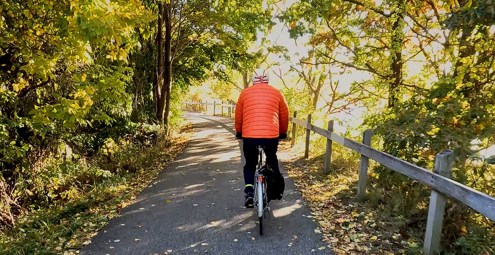 riding bike on trail through woods