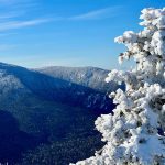 view of mountains from top of another mountain, with snow-covered evergreen tree on right