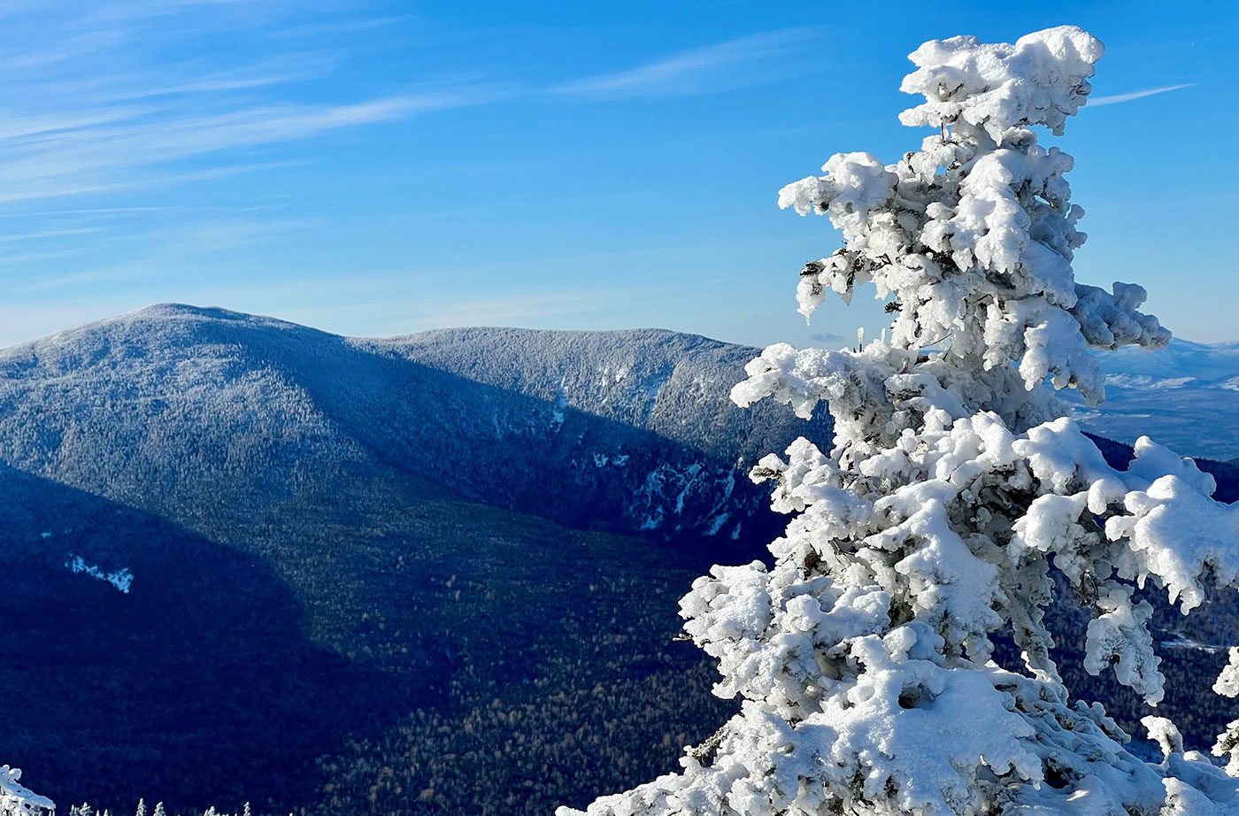 view of mountains from top of another mountain, with snow-covered evergreen tree on right