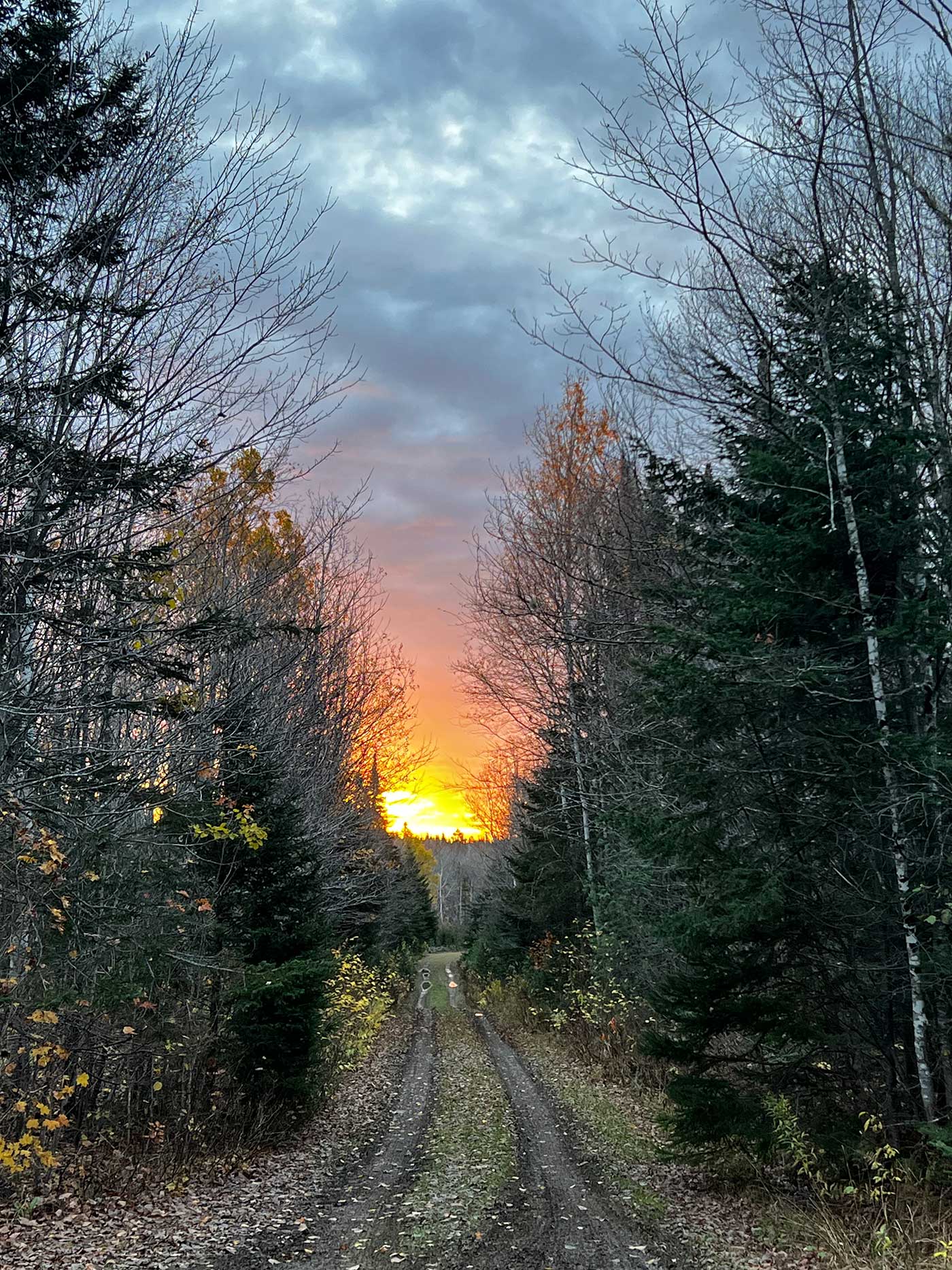 sunrise on the camp road