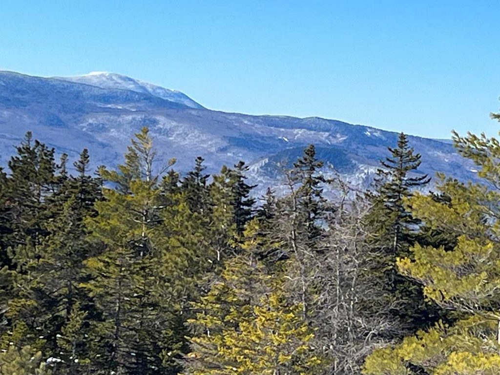 View of mountain over trees and under bright blue sky
