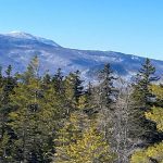 View of mountain over trees and under bright blue sky