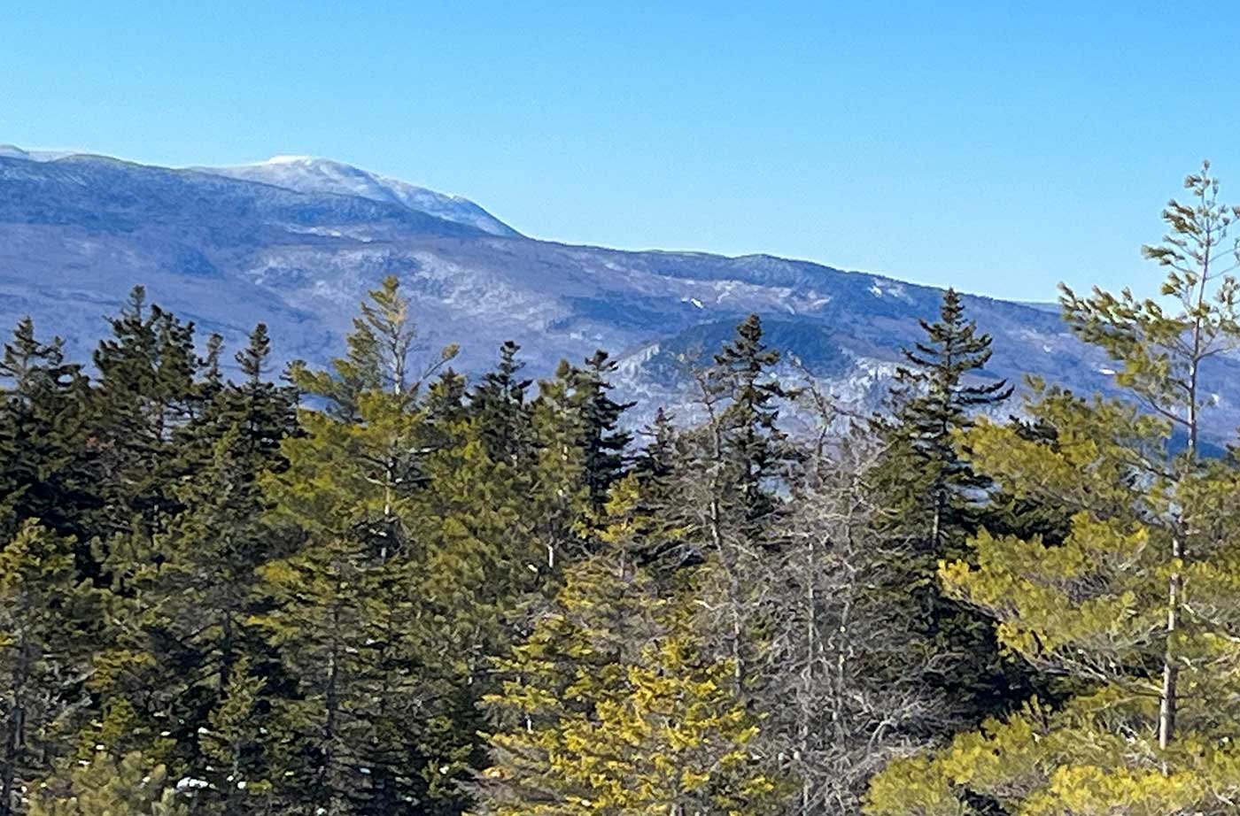 View of mountain over trees and under bright blue sky