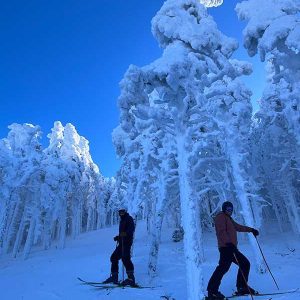two people standing under snowy trees and bright blue sky