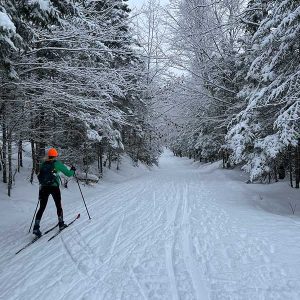skiing on snow-covered trail with snow-covered trees along path
