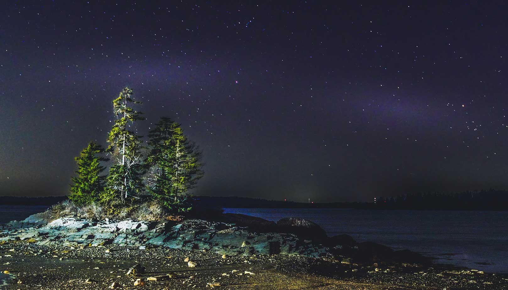 Night sky and trees along coast