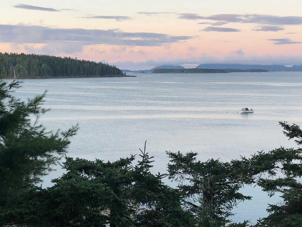 View over trees and across water to mountain and pink sky