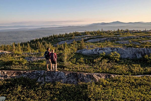 two people looking out over mountaintop