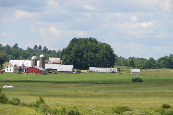 farm and farmlands