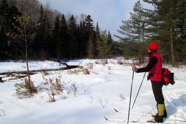 Person skiing on snow near river