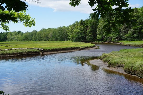 River flowing through grass and sandy areas