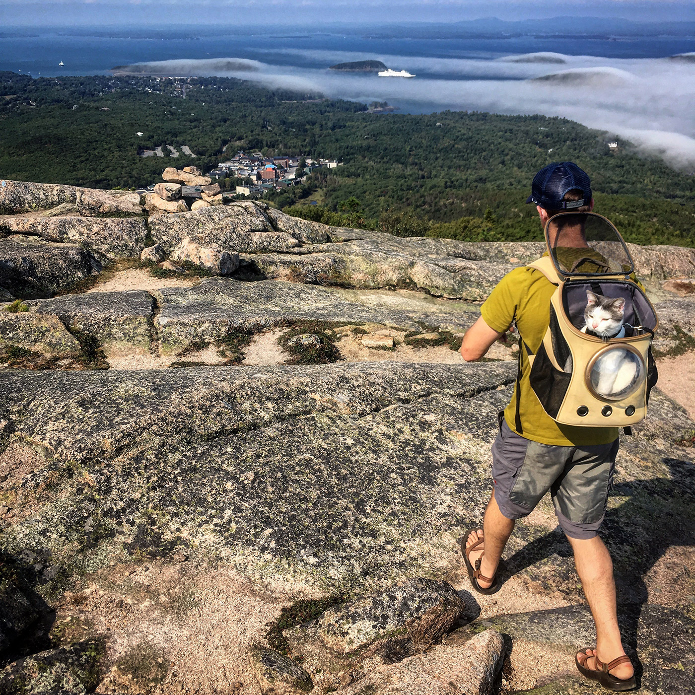 Person hiking on mountain with his cat in a backpack