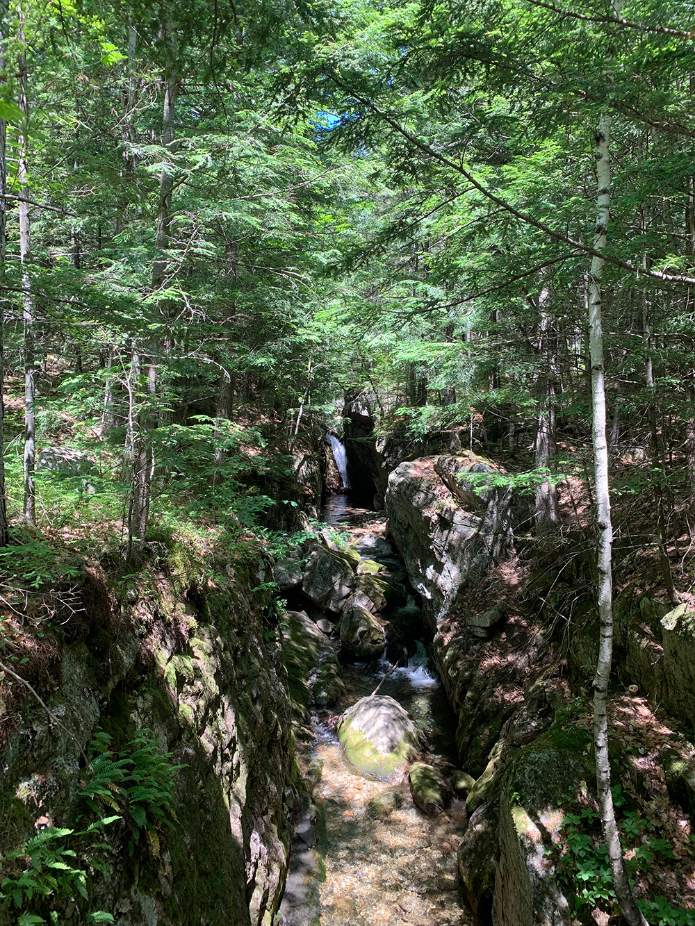 White Mountain National Forest