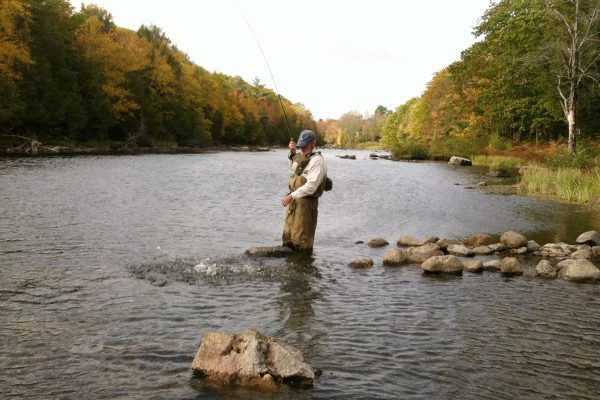 someone fishing for salmon wading in stream
