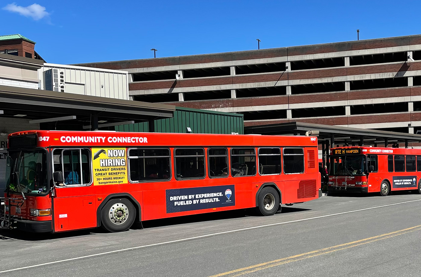 red public buses lined up at bus stop