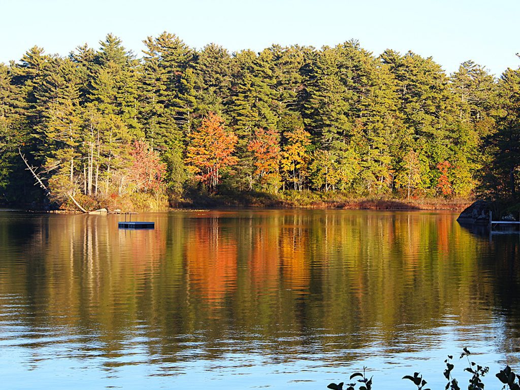 trees with some oranges and other fall colors with a small lake in front of the trees