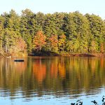 trees with some oranges and other fall colors with a small lake in front of the trees