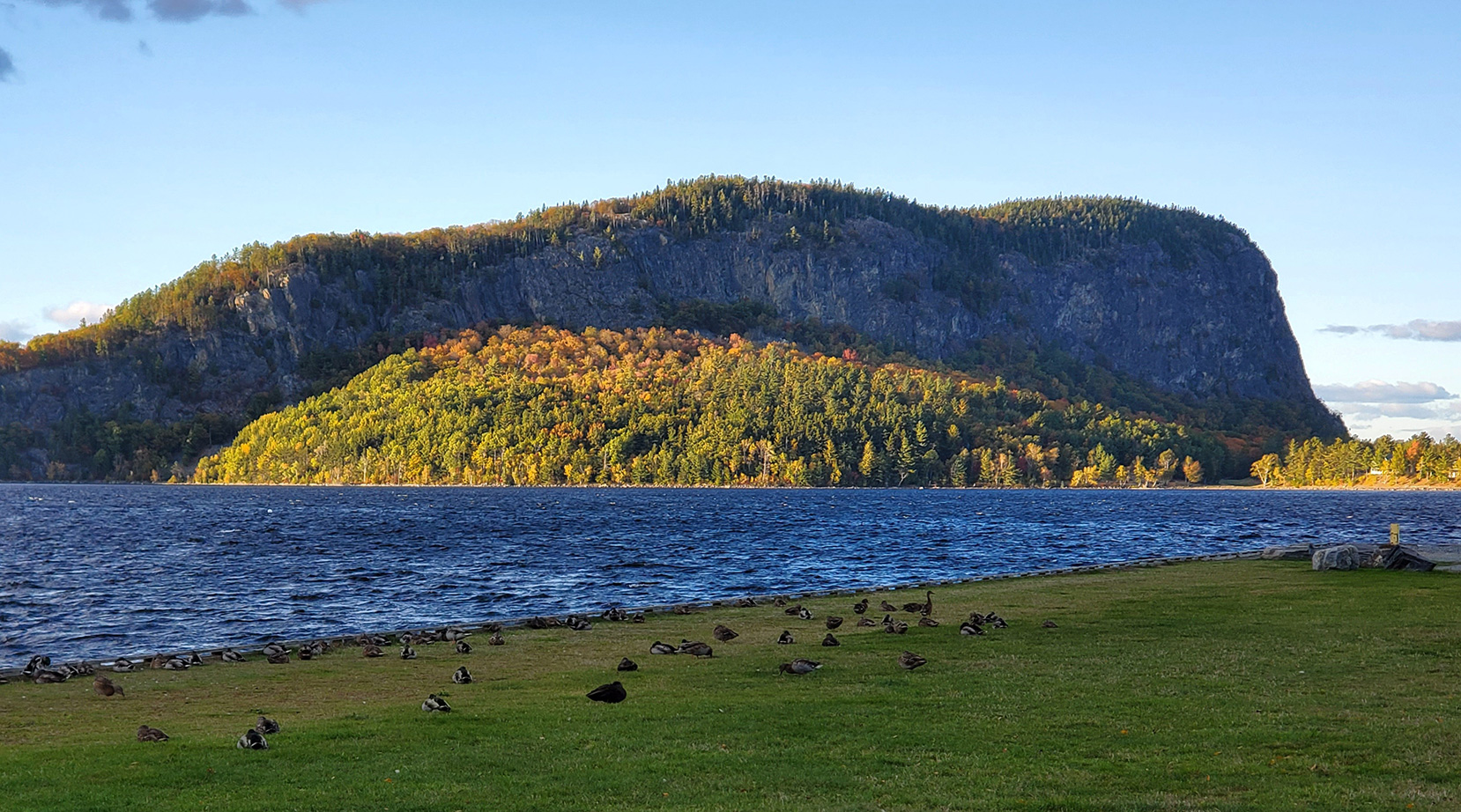 mountain in lake with Canada geese on grass in foreground