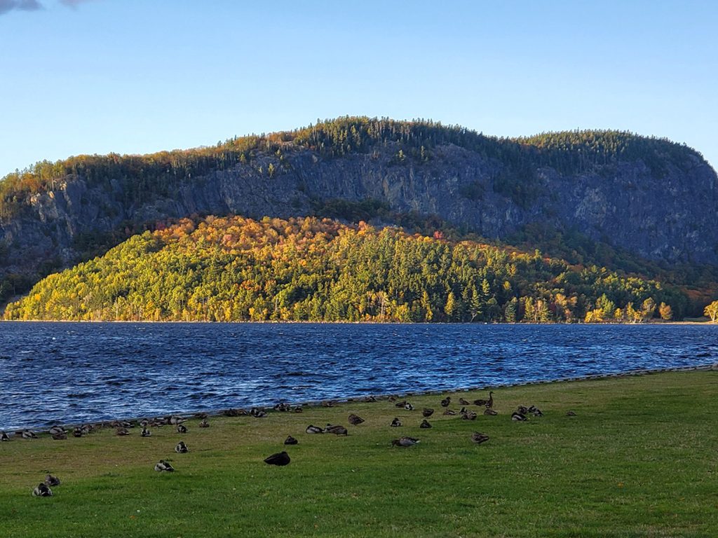 mountain in lake with Canada geese on grass in foreground