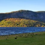mountain in lake with Canada geese on grass in foreground