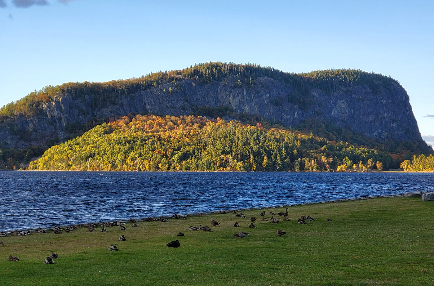 mountain in lake with Canada geese on grass in foreground